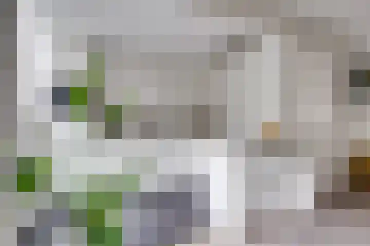 Dantelaan 105 Utrecht thumbnail 17