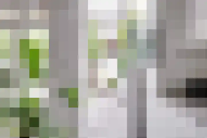 Dantelaan 105 Utrecht thumbnail 21