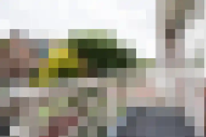 Dantelaan 105 Utrecht thumbnail 26
