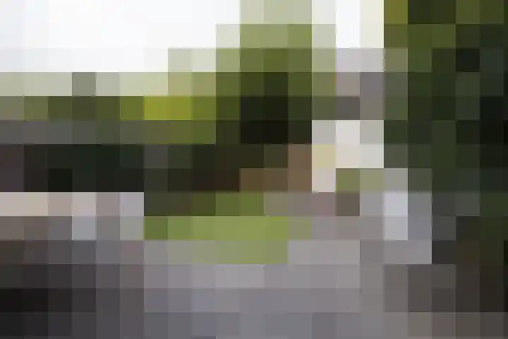 Dantelaan 105 Utrecht thumbnail 48