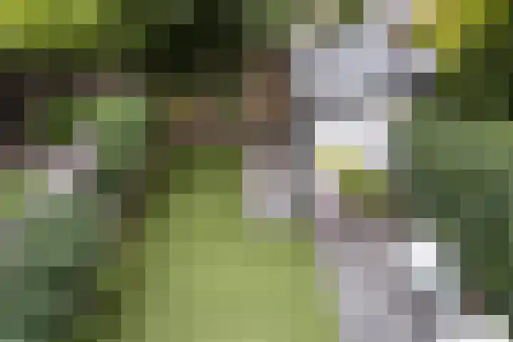 Dantelaan 105 Utrecht thumbnail 49