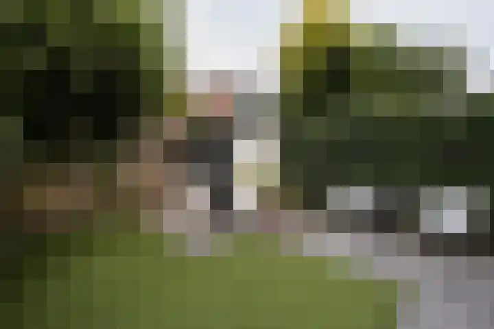 Dantelaan 105 Utrecht thumbnail 51