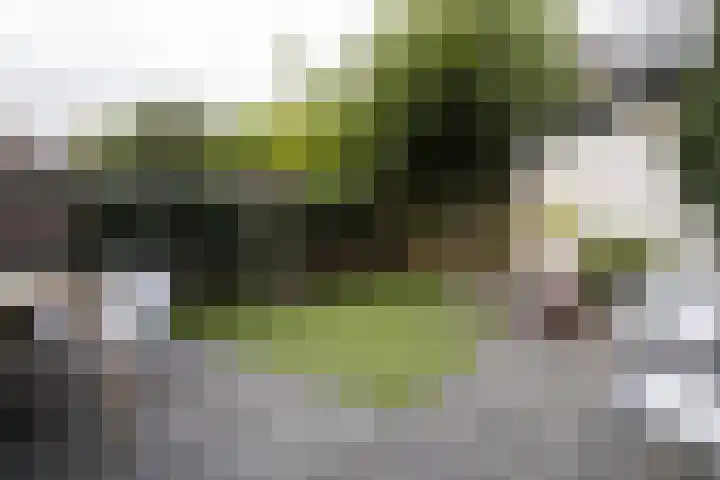 Dantelaan 105 Utrecht thumbnail 53