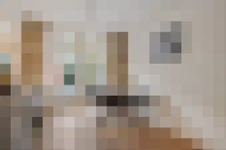 Dantelaan 121 Utrecht thumbnail 16