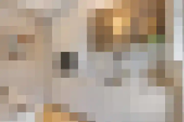 Dantelaan 121 Utrecht thumbnail 19