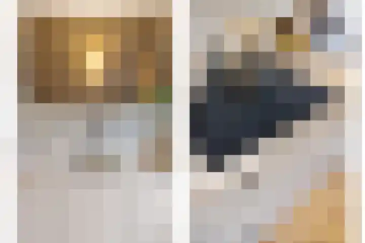 Dantelaan 121 Utrecht thumbnail 20