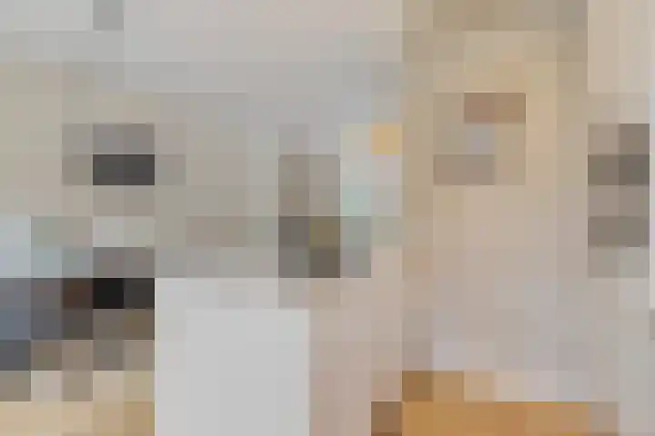 Dantelaan 121 Utrecht thumbnail 21
