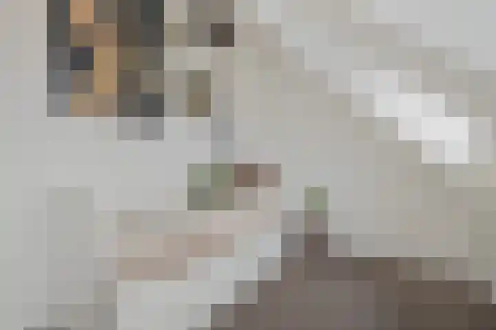 Dantelaan 121 Utrecht thumbnail 35