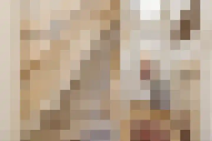 Dantelaan 121 Utrecht thumbnail 9