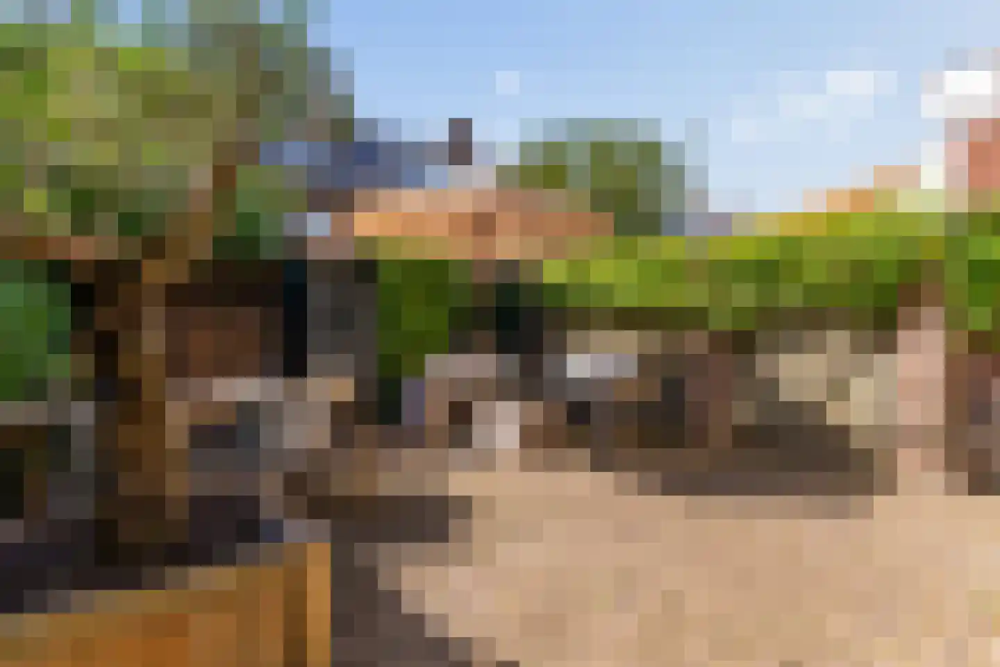 Dantelaan 25 Utrecht thumbnail 27