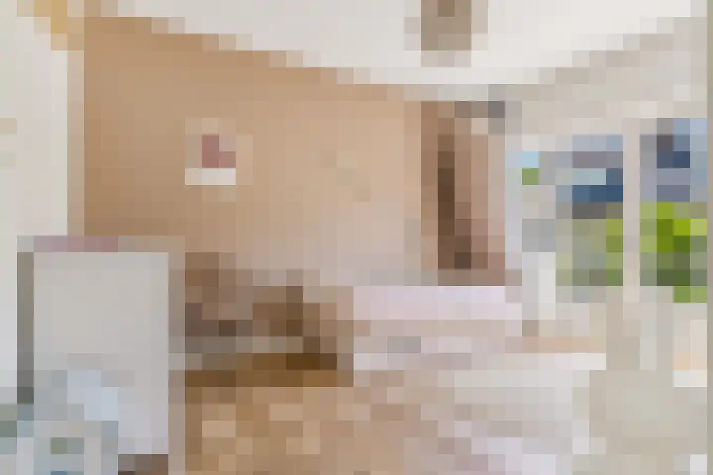 Dantelaan 25 Utrecht thumbnail 36