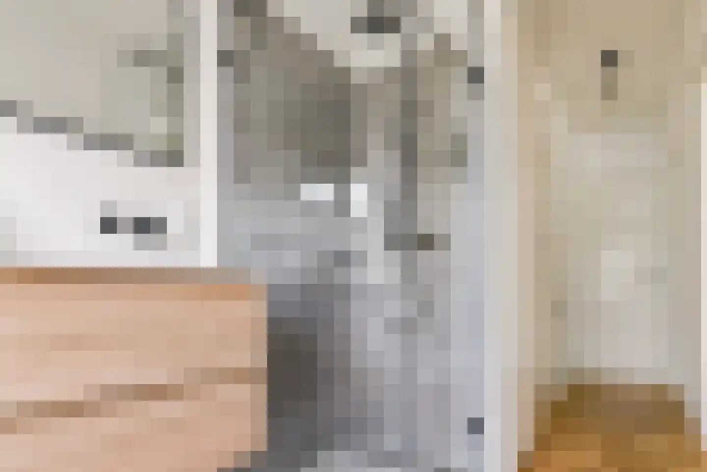 Dantelaan 25 Utrecht thumbnail 47