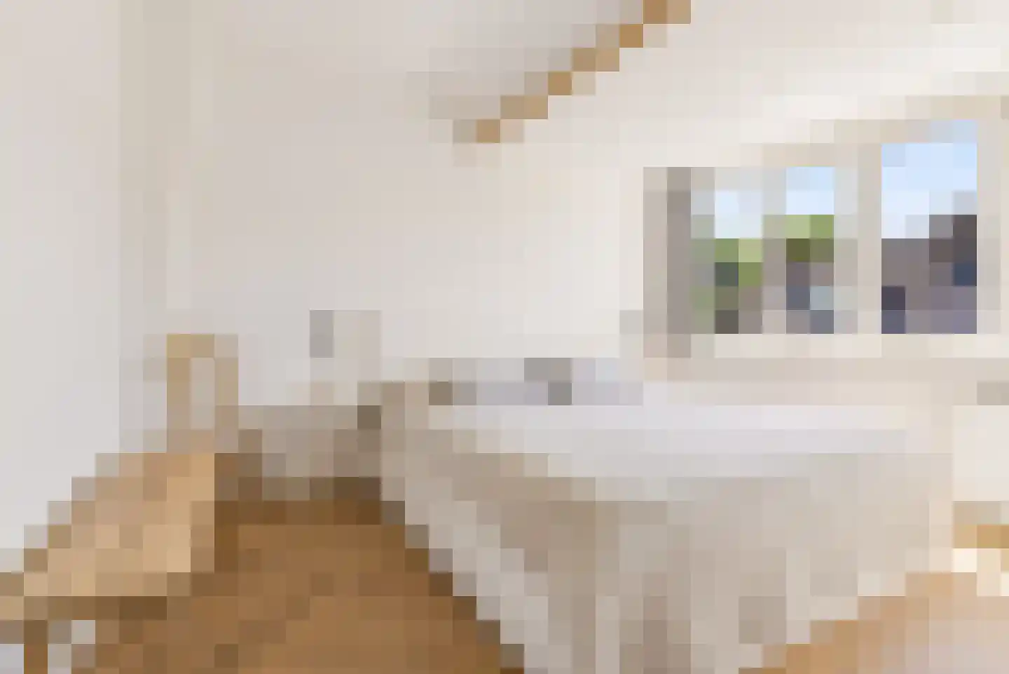 Dantelaan 25 Utrecht thumbnail 53