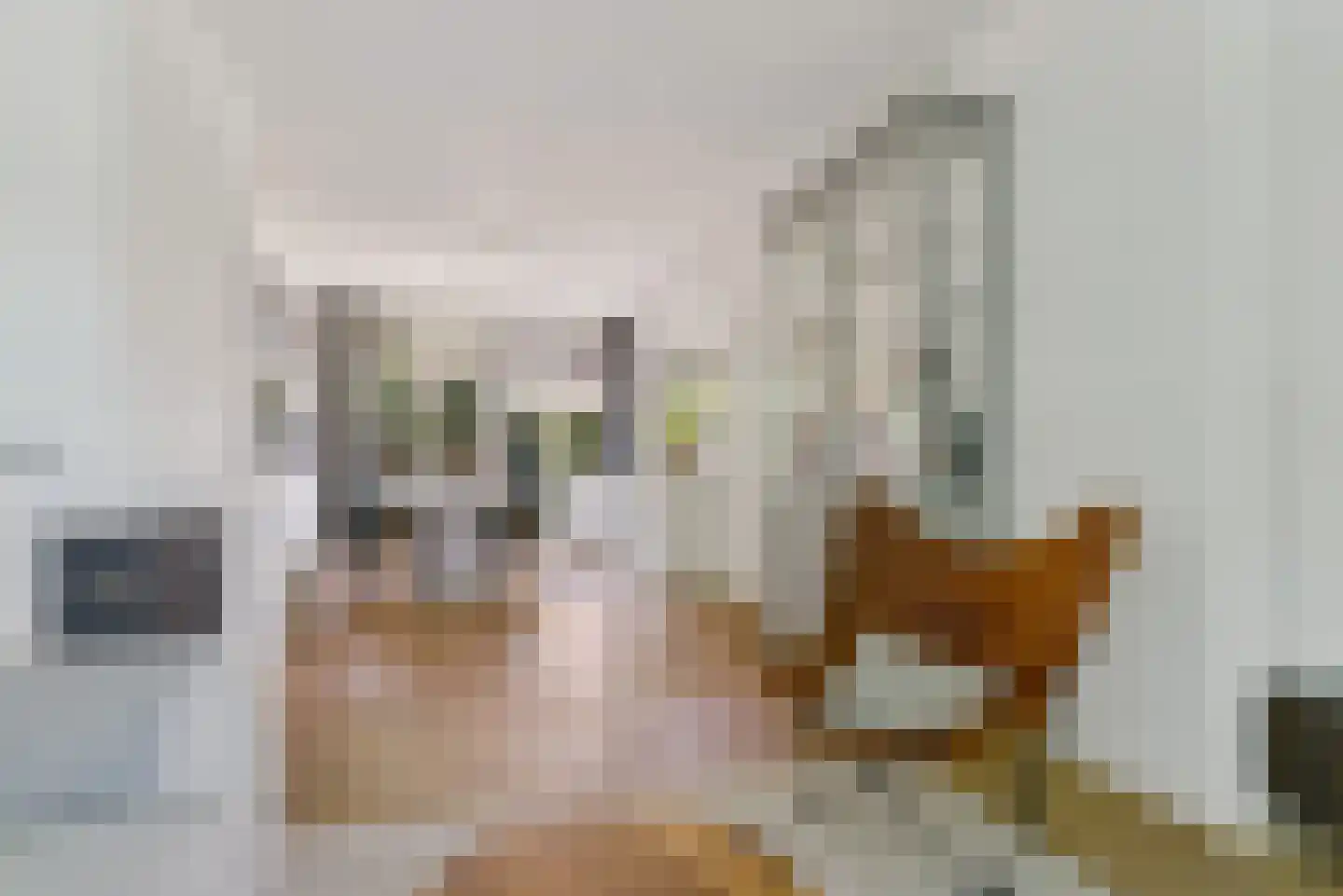 Dantelaan 25 Utrecht thumbnail 9