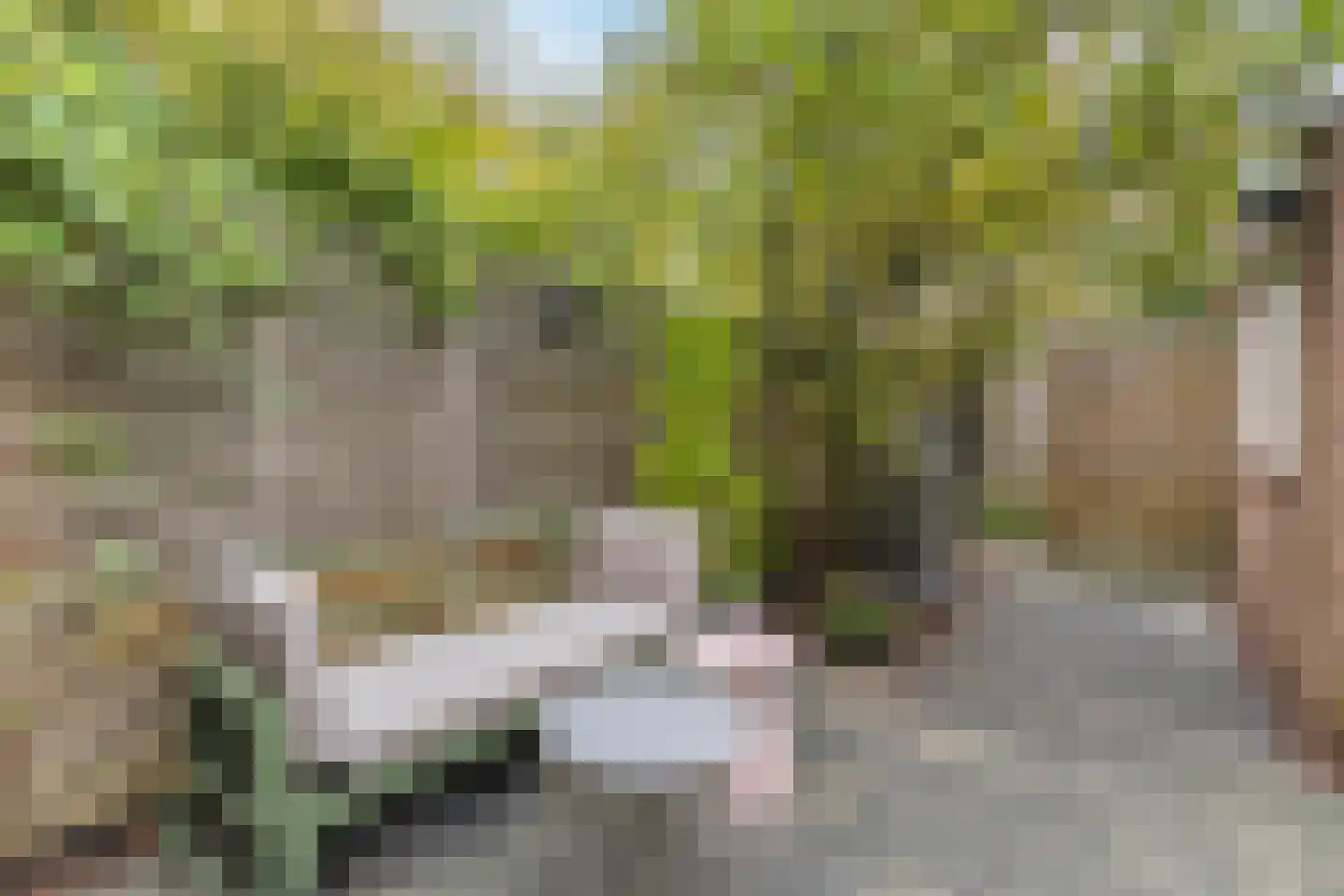 Dantelaan 74 Utrecht thumbnail 20
