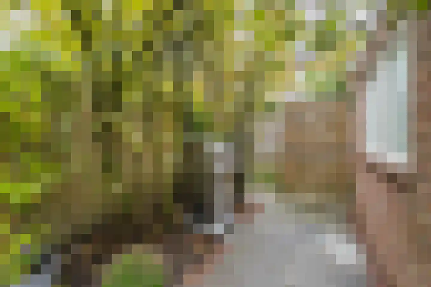 Dantelaan 74 Utrecht thumbnail 21