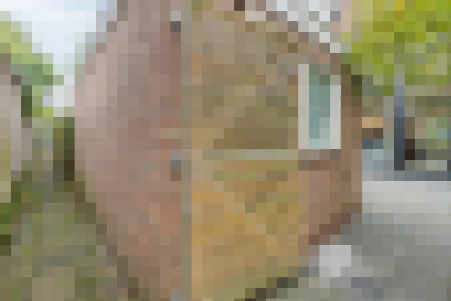 Dantelaan 74 Utrecht thumbnail 22