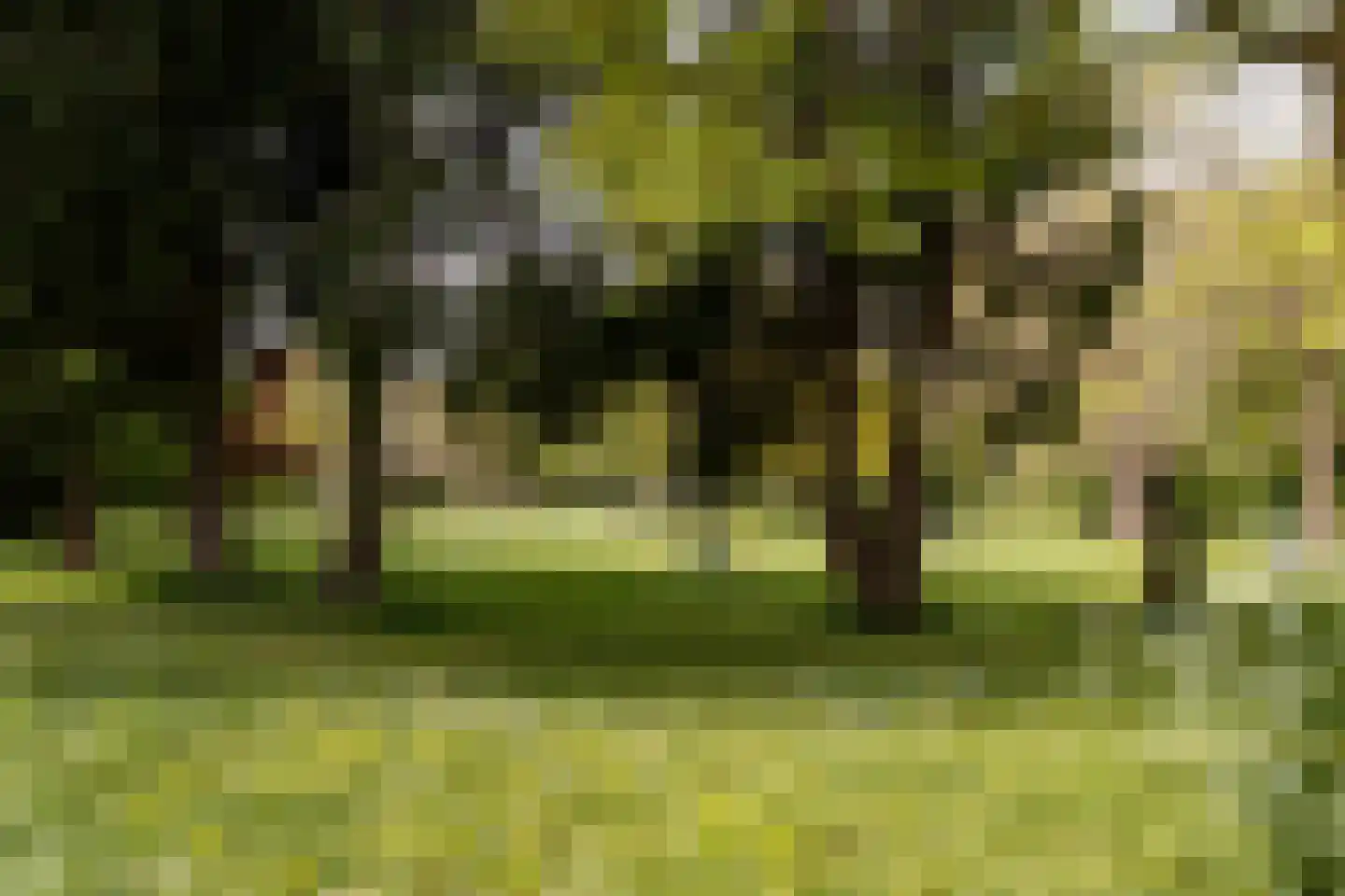 Dantelaan 74 Utrecht thumbnail 68