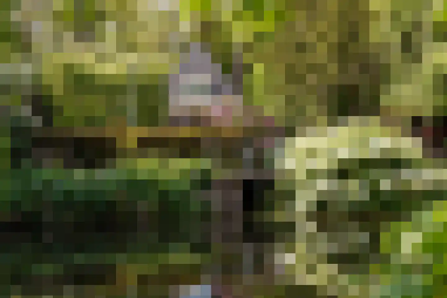 Dantelaan 74 Utrecht thumbnail 69