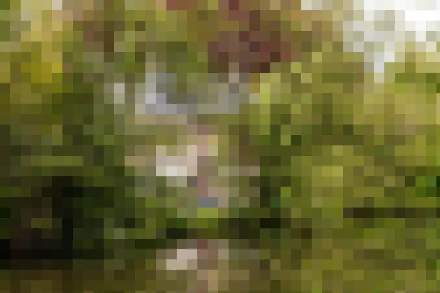 Dantelaan 74 Utrecht thumbnail 70