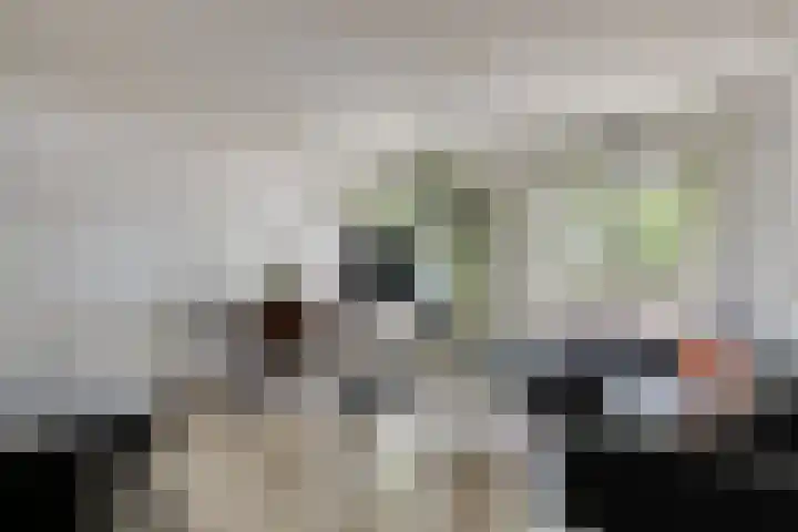 Dantestraat 276 Amsterdam thumbnail 5