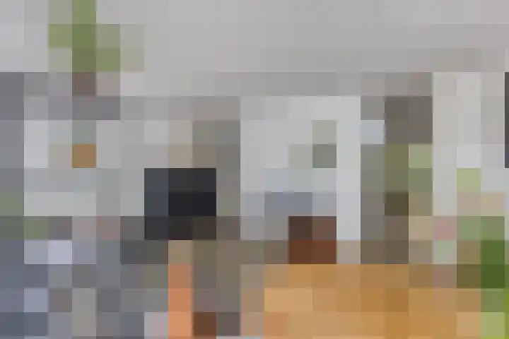 Dantestraat 276 Amsterdam thumbnail 9