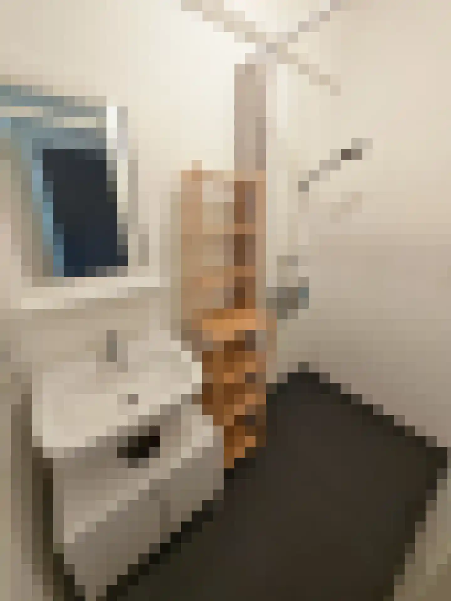 Dantestraat 282 Amsterdam thumbnail 13