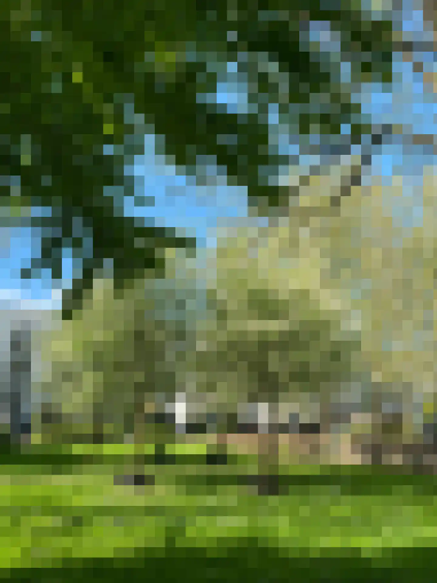 Dantestraat 282 Amsterdam thumbnail 27