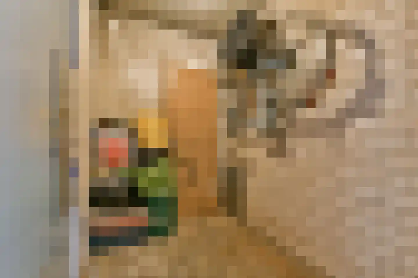 Dantestraat 62 Amsterdam thumbnail 20