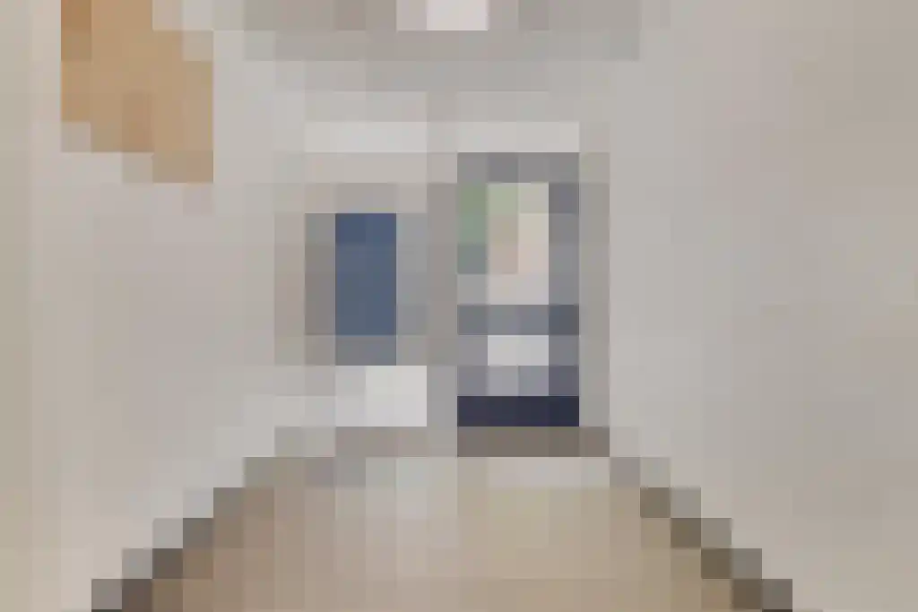 Dantestraat 62 Amsterdam thumbnail 29