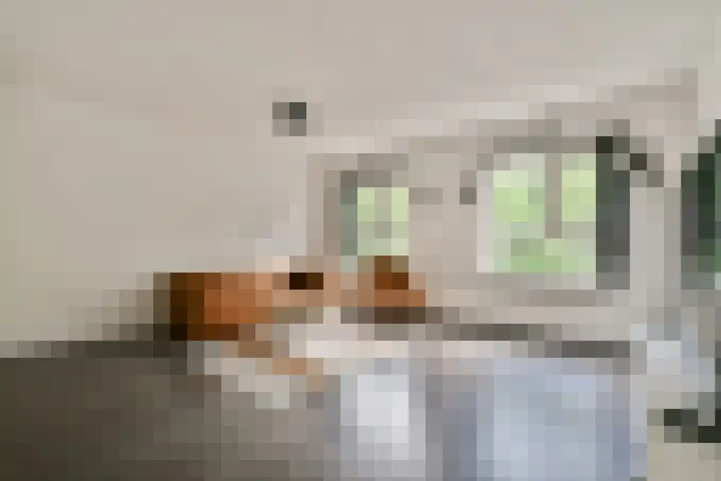 Dantestraat 62 Amsterdam thumbnail 4