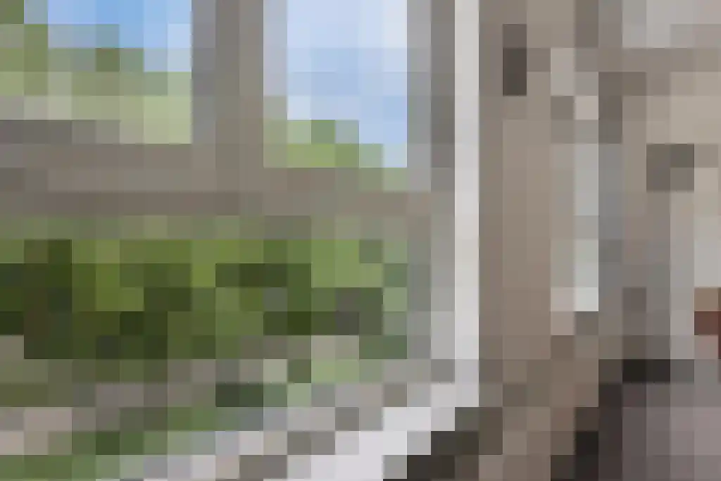 Dantestraat 62 Amsterdam thumbnail 4