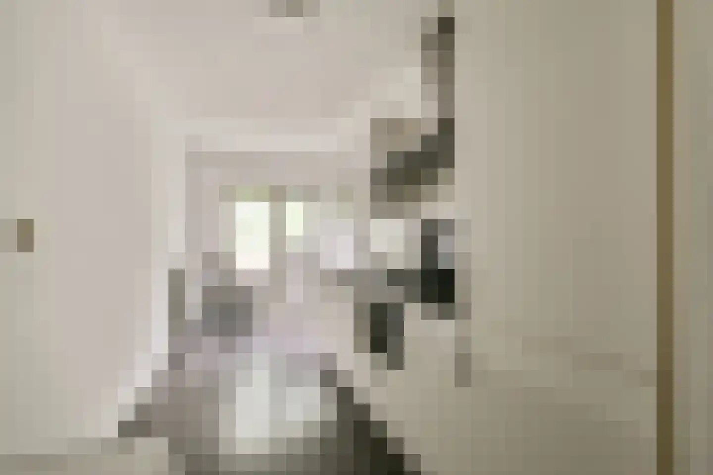 Dantestraat 62 Amsterdam thumbnail 6