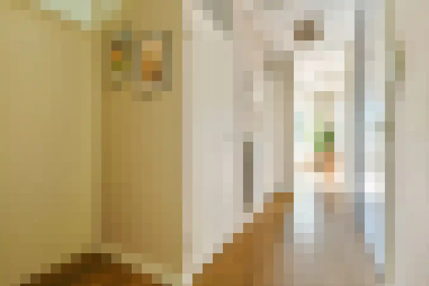 Dantestraat 76 Amsterdam thumbnail 10