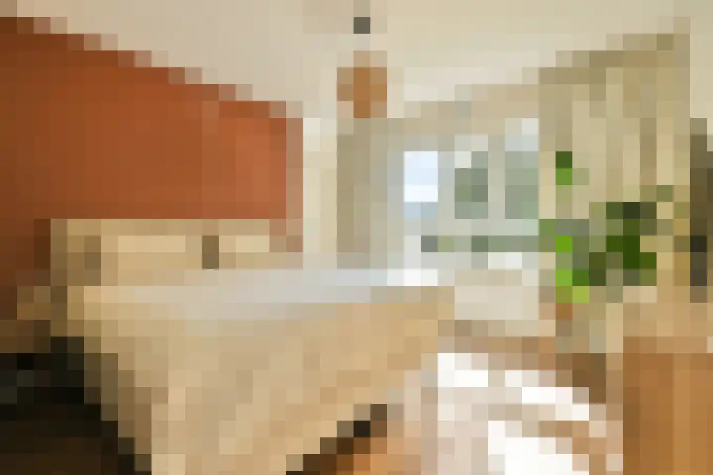 Dantestraat 76 Amsterdam thumbnail 11