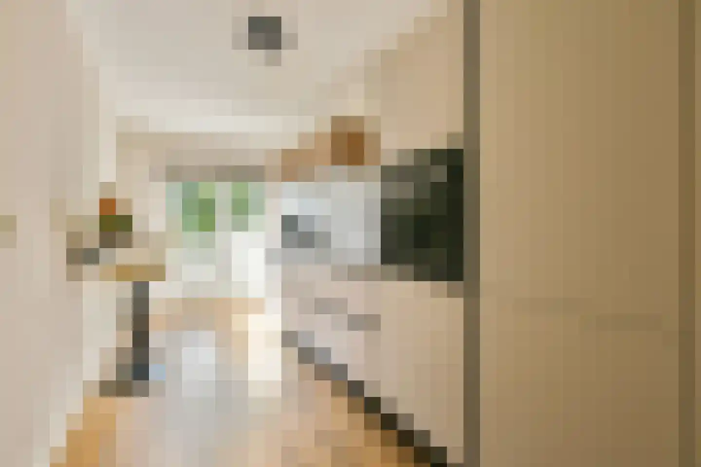 Dantestraat 76 Amsterdam thumbnail 6