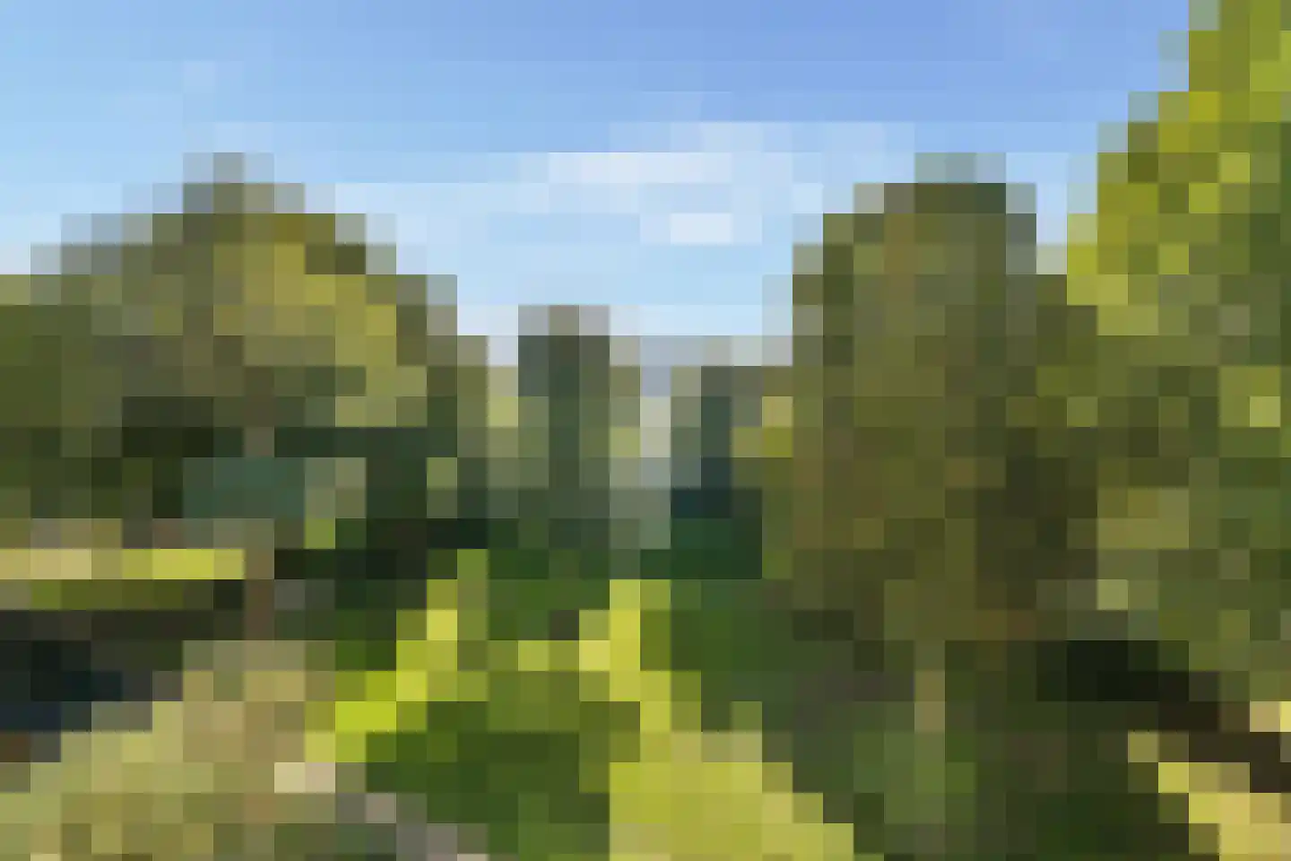 Dantestraat 76 Amsterdam thumbnail 9