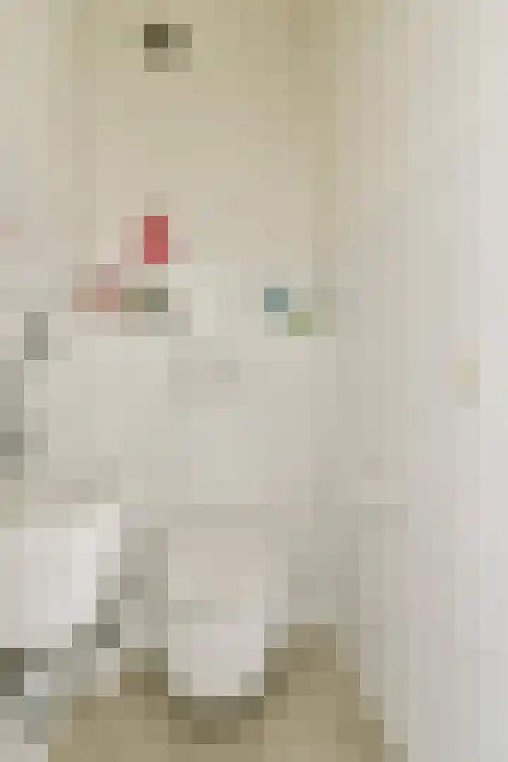 Dantestraat 8 Amsterdam thumbnail 12