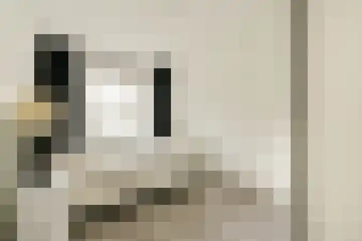Dantestraat 8 Amsterdam thumbnail 9