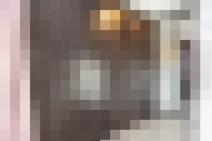 Daphnestraat 9 Arnhem thumbnail 25