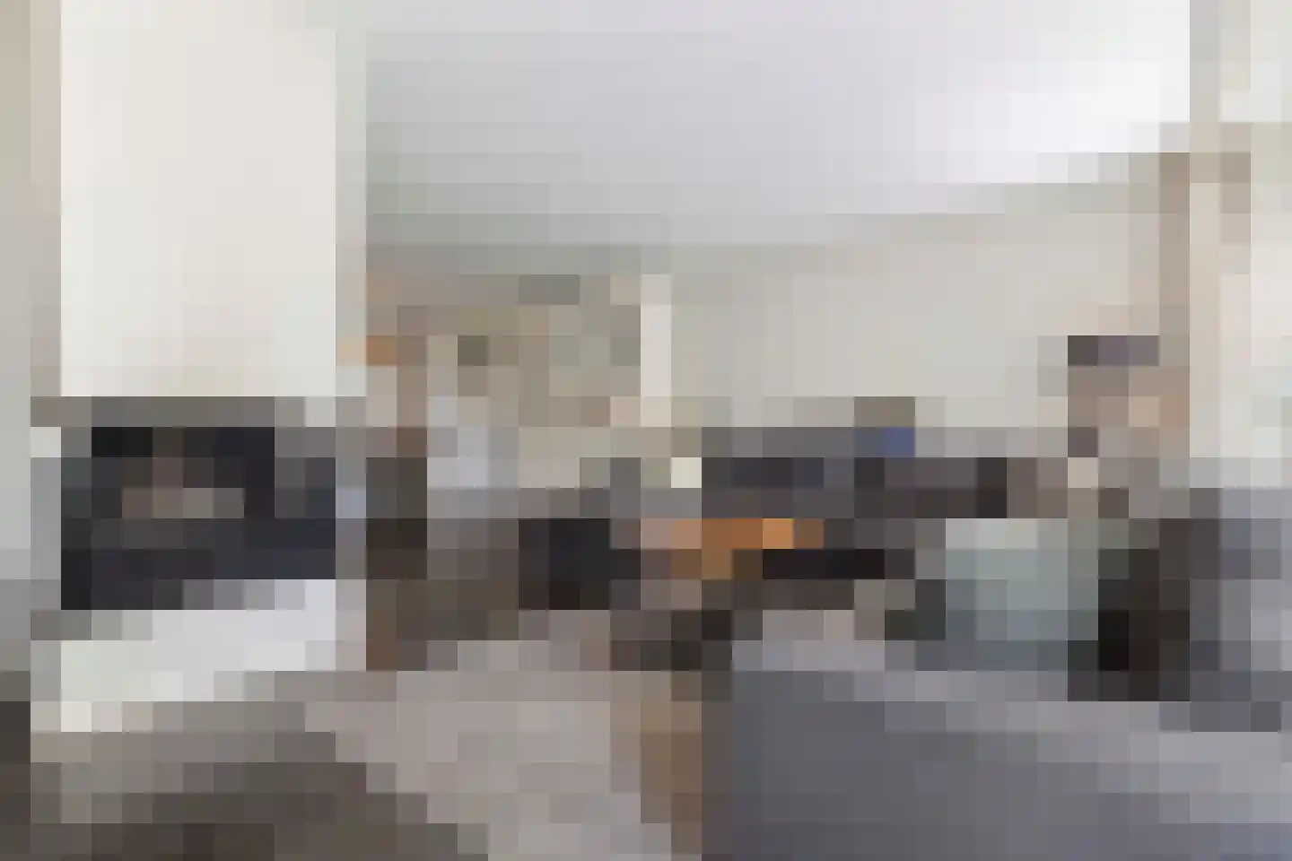 Dapperslaer 7 Helmond thumbnail 12