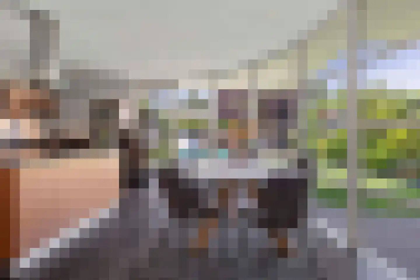 Dapperslaer 7 Helmond thumbnail 19