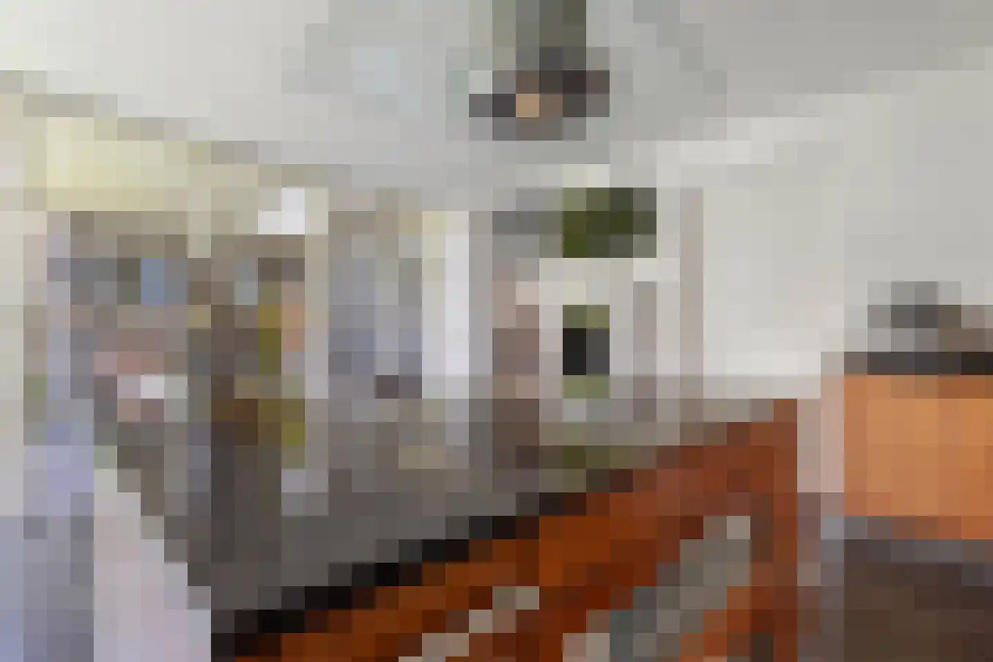 Dapperslaer 7 Helmond thumbnail 23