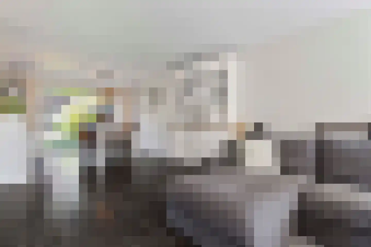 Dapperslaer 7 Helmond thumbnail 4