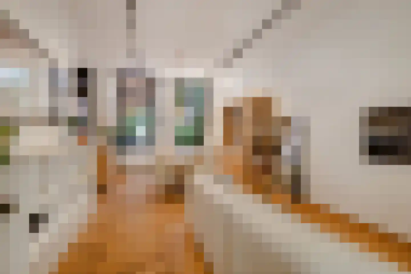 Dapperstraat 106 1 Amsterdam thumbnail 10