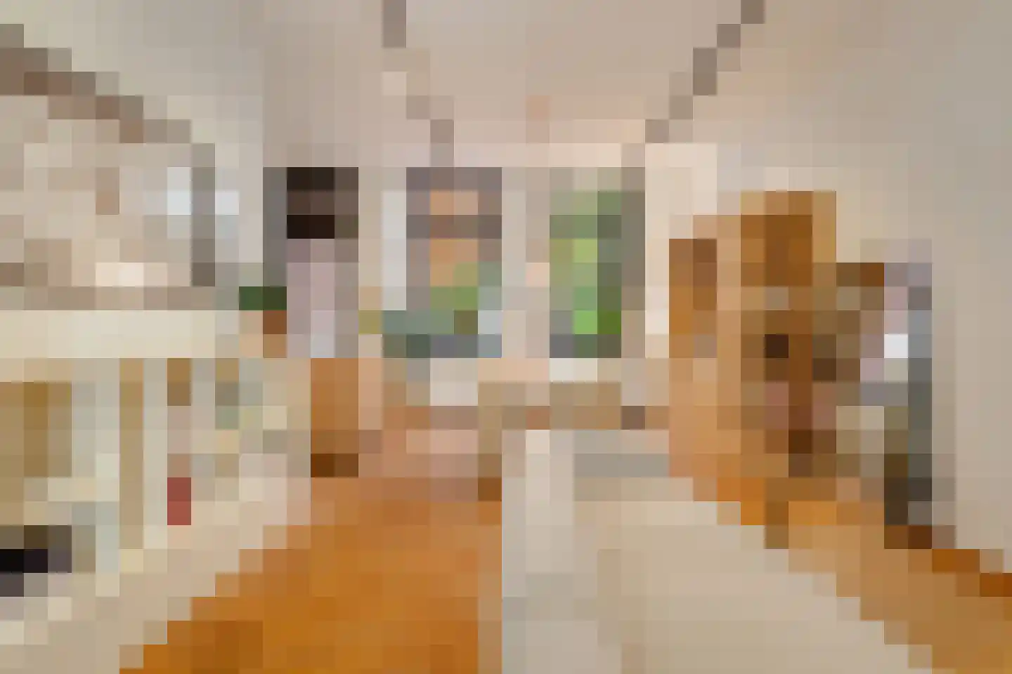Dapperstraat 106 1 Amsterdam thumbnail 11