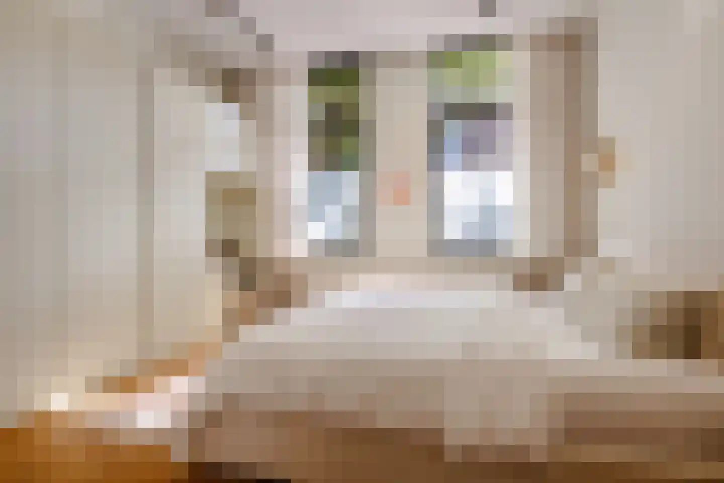 Dapperstraat 106 1 Amsterdam thumbnail 16