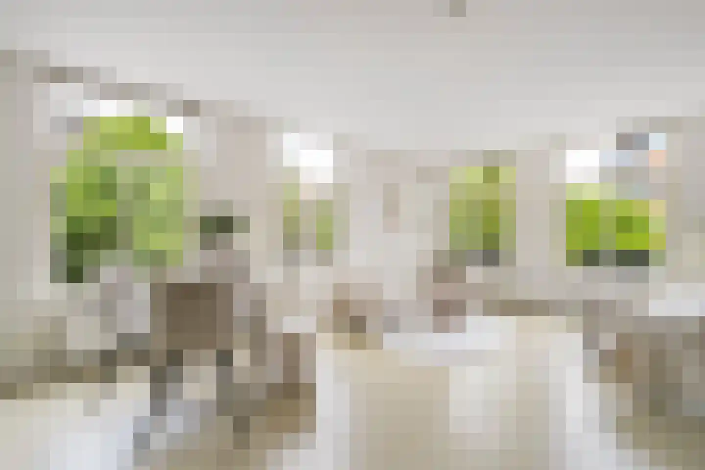 Dapperstraat 12 2 Amsterdam thumbnail 5