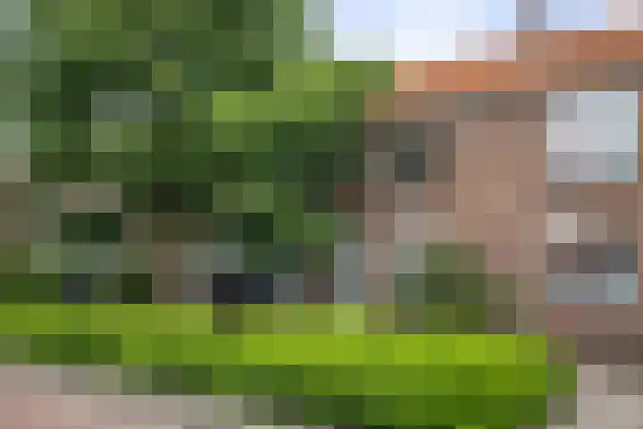 Dapperstraat 12 in Deventer