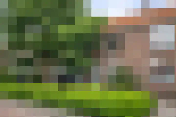 Dapperstraat 12 Deventer thumbnail 20
